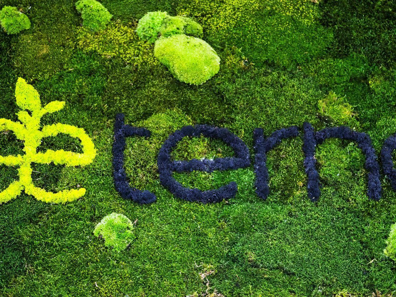 Aeterno Eco Guest House Řím Exteriér fotografie